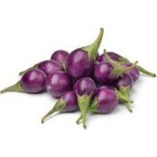 Tohumcumm 50 Adet Tohum Nadir Bulunan Endonezya Mini Topak Patlıcan Tohumu Minik Patlıcan Tohumu Hediye Tohuml