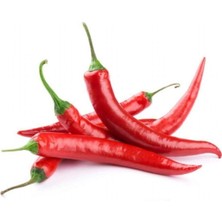 Tohumcumm 100 Adet Meksika Biberi Tohum  Acı Meksika Biberi Tohumu Jalapeno  Biber Tohumu Hediye