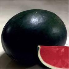 Tohumcumm 15 Adet Tohum Meşhur Halep Karpuzu Tohumu Halep Karası Karpuz Tohumu Süpriz Hediye Tohum