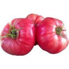 Tohumcumm 30 Adet Tohum Nadir Ürü Pembe Bulgar Domatesi Pembe Domates Tohumu Sürpriz Hediye Tohumlu