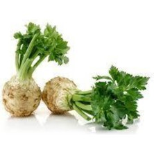 Tohumcumm 75 Adet Tohum  Kereviz Tohumu Köy Tohumu Kereviz Tohumları Sürpriz Hediye Tohumludur