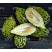 Tohumcumm 50 Adet Tohum Turşuluk Konya Kelek Tohumu Organik Hobi Bahçe Kelek