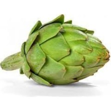 Tohumcumm 50 Adet Tohum Organik  Bahçe Enginar Tohumu Geleneksel Tohumu Sürpriz Hediye Tohumludur