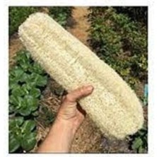 Tohumcumm 1 Adet 35 cm Uzunluk Organik Lif Kabağı Sünger Bulaşık Banyo Kabak Kendini Temizleyen