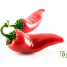 Tohumcumm Çok Acı Urfa Isot Biberi Tohumu Biber Tohumu 50 Adet Tohumu