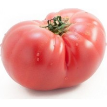 Tohumcumm Pembe Domates Tohumu Nadir Geleneksel İri Pembe Domates Tohumu 15 Adet Tohum