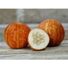 Tohumcumm 5 Adet Tohum Nadir Bulunan Nevşehir Mini Kokulu Kavun Saksı Toprak Bizden Hediye