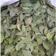 Aktar Depo Defne Yaprağı 1. 500 gr