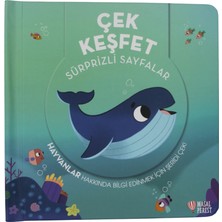 Masalperest Çek Keşfet - Hayvanlar