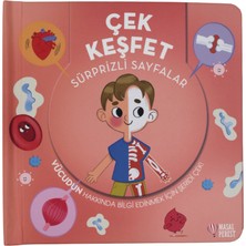 Masalperest Çek Keşfet - İnsan Vücudu