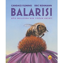 Kuraldışı Yayınevi Balarısı