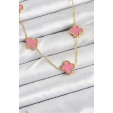 Claris 316L Çelik Zincir Gold Pembe Renk Yonca Kadın Kolye