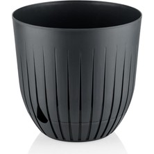 Misda Store Saksı Tabaklı Delikli Plastik Çiçek Saksısı (Gri, 2 Litre)