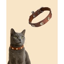 Gold Be Şık ve Güvenli 27 cm Kedi Tasması – Zilli & Taşlı Tasarım