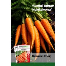 Adet Kırmızı Havuç Tohumu