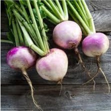 Tohumcumm Tohum Süper Paket Şalgam Turpu Tohumu 100 Adet