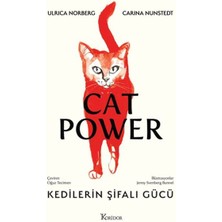 Kitabevimden Kedilerin Şifalı Gücü