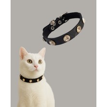 Gold Be Şık ve Güvenli 27 cm Kedi Tasması – Zilli & Taşlı Tasarım