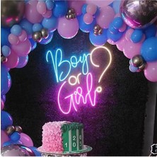 Boy Or Girl? Yazılı Neon Tabela