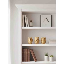 Curcuna Hediyelik 3 Lü Baykuş Polyester Biblo