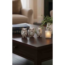 Curcuna Hediyelik 3 Lü Baykuş Polyester Biblo