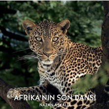 Kitabevimden Afrika’nın Son Dansı