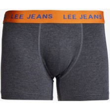 Lee Regular Fit Normal Kesim Gri Boxer