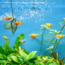 BYZM Akvaryum Balık Kepçesi 7.5 Cm.