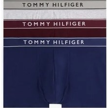 Tommy Hilfiger Erkek Boxer UM0UM035200VQ