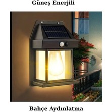 TeknoClass 2 Adet Güneş Enerjili Bahçe Lambası LED Paket Bahçe Aplik Bahçe Lambası Bahçe Aydınlatma.