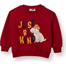 Hellobaby Erkek Bebek Sweatshirt Şardonlu Iki Iplik Bisiklet Yaka Uzun Kol