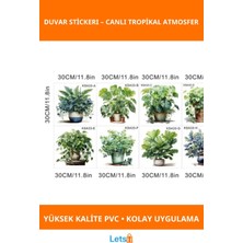Letsii Tropikal Bitkiler Duvar Stickerı 30 cm 8 Adet