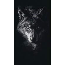 Aydın Garage Araba Kapı Direk Kaplama Folyosu Kurt