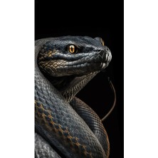 Aydın Garage Yılan Kapı Direk Kaplama Folyosu Baskılı Sticker Sağ-Sol 2 Adet 22*50 cm