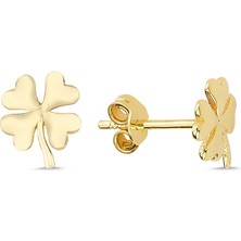 Ily Jewelry Yonca Küpe