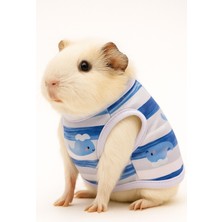 Ginepig Kıyafeti – Karışık Renk Gönderim