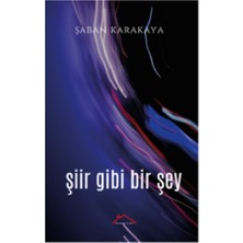 Kırmızı Çatı Yayınları Şiir Gibi Bir Şey