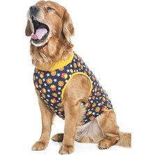 Petza Orta ve Büyük Irk T-Shirt Neema