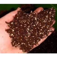 Tohumcumm 2 Litre Torf Toprak Perlit Karışımlı Torf Çiçek Toprağı Saksı Toprağı Bitki Toprağı