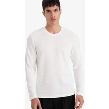 DeFacto Slim Fit Bisiklet Yaka Sweatshirt G2605AX25AU