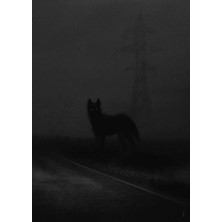 Aydın Garage Kurt Kapı Direk Kaplama Folyosu Baskılı Sticker Sağ-Sol 2 Adet 22*50 cm