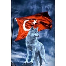 Aydın Garage Araba Kapı Direk Kaplama Folyosu Kurt Cve Türk Bayrağı