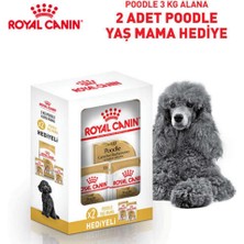 Royal Canin Poodle Adult Bundle Yetişkin Poodle Köpek Maması 3 kg Yetişkin Poodle Köpek Yaş Maması 2X85 gr