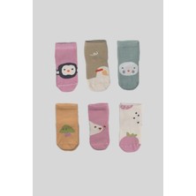 Defne Baby 6 Çift Newborn Anti-Bakteriyal Yeni Doğan ve Bebek Çorabı 0-6 Ay