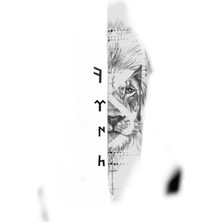 Aydın Garage Araba Kapı Direk Kaplama Folyosu Aslan