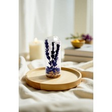 Pisidesa Pisidia Lavanta Kapsülü (Lavanta Taneli Dekoratif Küre) - Doğal Hediye, Dekor, Biblo