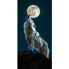 Aydın Garage Araba Kapı Direk Kaplama Folyosu Kurt