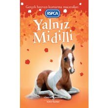 İş Bankası Kültür Yayınları Yalnız Midilli