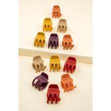 H&E Design Kadın 12'li Renkli Tırmık Toka Seti