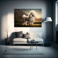 Body Poodle Köpek Hd Baskı Kanvas Tablo Hd Dijital Baskı Yatay Kanvas Tablo 4571